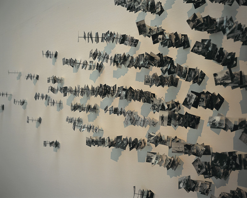 Patrick Altman, Les Tableaux (détail), 1200 photographies (5 x 7 cm chaque) et tiges de bois, Musée des arts moderne et contemporain de Liège, 2001-2002. © Patrick Altman
