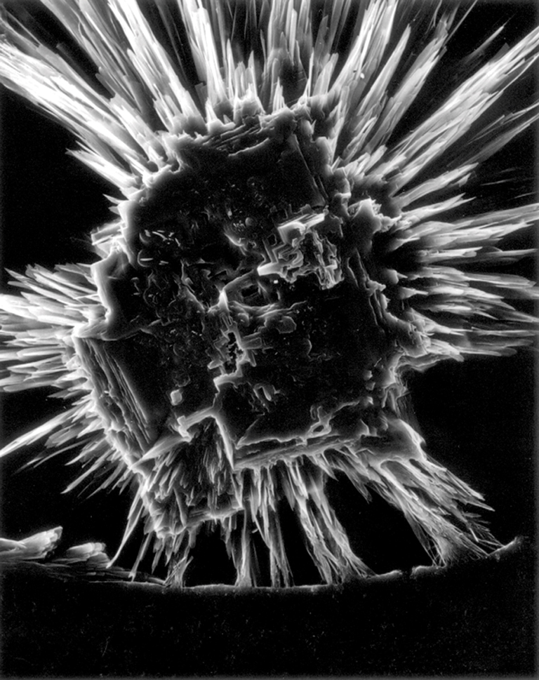 ClaudiaClaudia Fährenkemper , Bupivacaine Hydrochloride (400x), 2003, from the series Habitus, silver prints on ﬁbre-based paper, 42 x 53 cm. © Claudia Fährenkemper Fährenkemper , Bupivacaine Hydrochloride (400x), 2003, 42 x 53 cm, from the series Habitus, silver prints on ﬁbre-based paper. © Claudia Fährenkemper