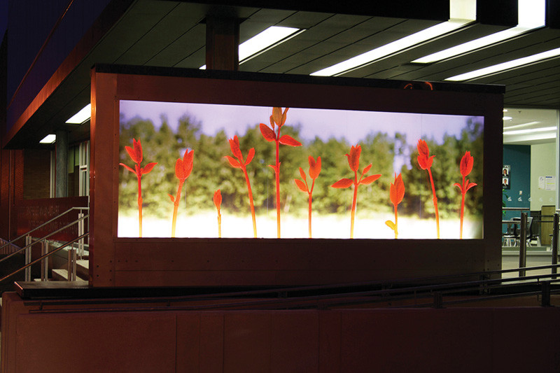 Roberto Pellegrinuzzi, Espace vert (aperçu de la programmation), 2007, 457 x 213 cm, programme d’art public de la Ville de Montréal, Centre communautaire intergénérationnel d’Outremont. © Roberto Pellegrinuzzi
