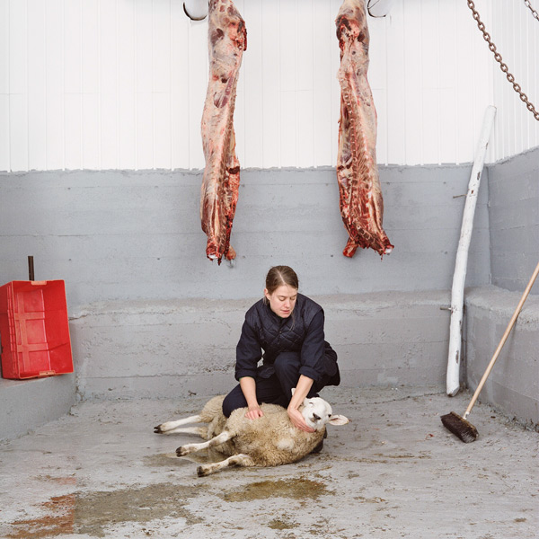 Kim Waldron, Lamb Slaughter, 2010, impression jet d’encre / inkjet print, série de / from series of 9 images, 94 x 94 cm ch. / ea. © Kim Waldron