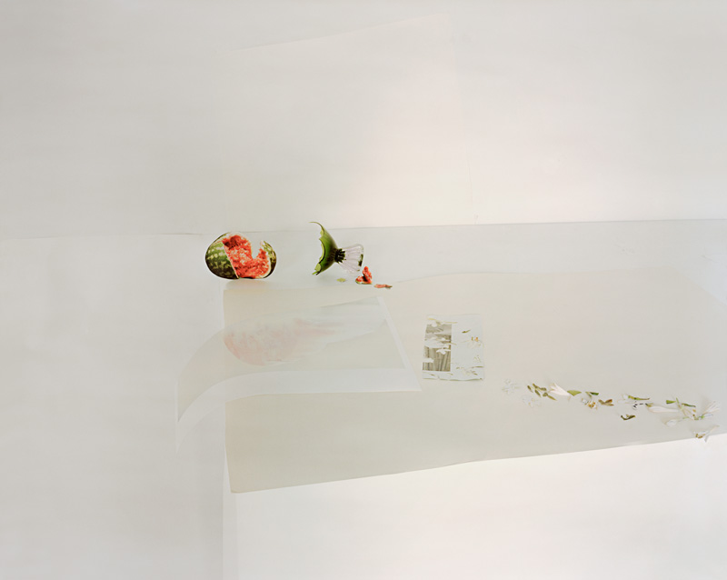 Laura Letinsky Still Life Photographs 1997 2012 Robert Evans Ciel 