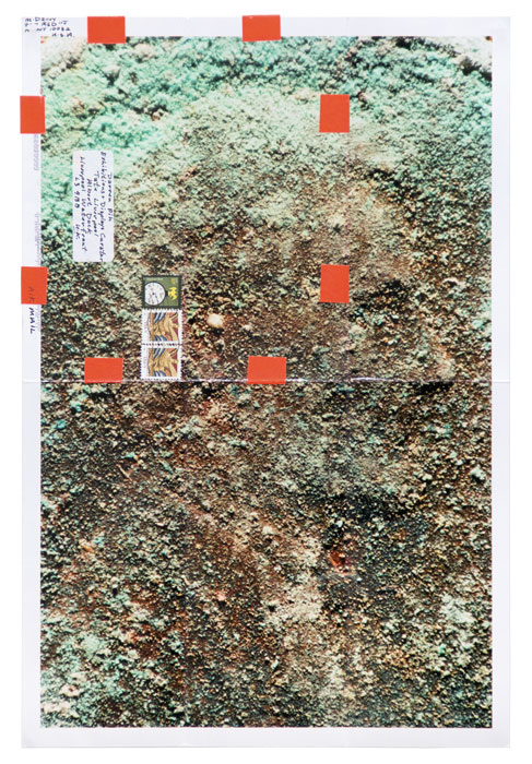 Moyra Davey, from the series / de la série Copperheads 101-200, 2013 chromogenic prints, tape, postage, ink / épreuves chromogènes, ruban, timbres-poste, encre, 61 × 46 cm