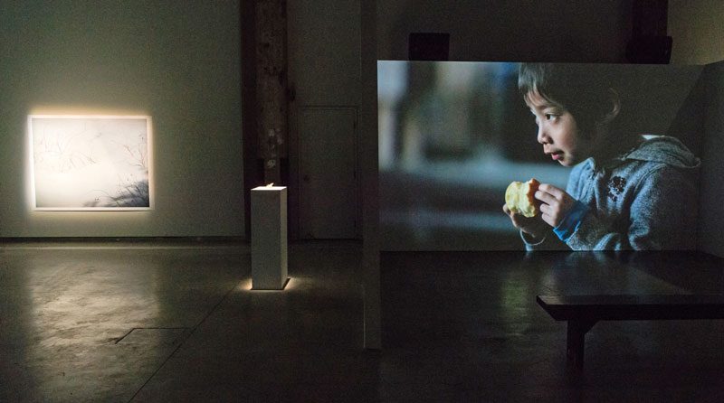 Chih-Chien Wang, The Act of Forgetting, 2015, vue de l’exposition, photo : Maxime Boisvert