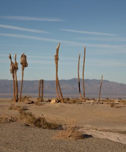 Isabelle Hayeur, Desert Shores (L’Amérique perdue) - Stephen Horne, Photographier dans l’anthropocène
