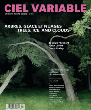 Ciel variable 106 - ARBRES, GLACE ET NUAGES