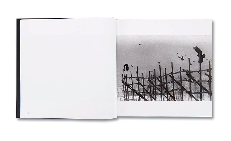 Masahisa Fukase, Ravens, Mack Books, Londres, 2017 (réédition), 148 pages, 100 photographies