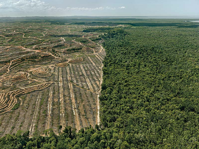 Edward Burtynsky: Intentional Landscapes - Arthur Roger Gallery