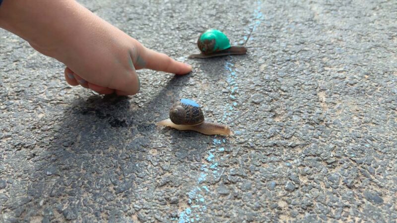 Francis Alÿs, Jeux d'enfants n° 31 : Slakken, Pajottenland, Belgique, 2021, 5 min 1 s, en collaboration avec Julien Devaux et Félix Blume