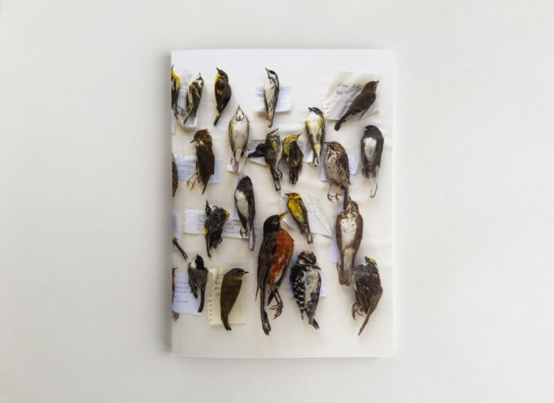 J’ai pensé à toi, une collection d’oiseaux, Mélissa Longpré, Montréal, autoédition, 2024, 120 pages, 15 x 21 cm, reliure allemande