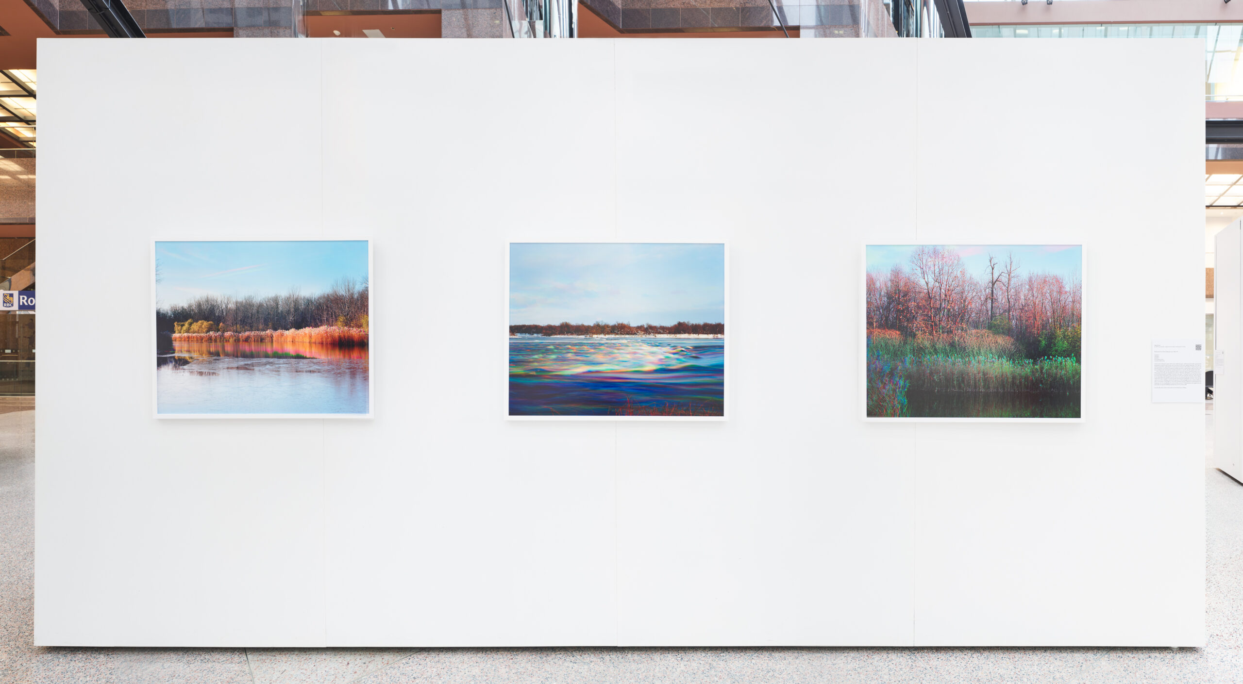 Aaron Leon, de la série / from the series Altered Landscape, 2013–2020, tirages par procédé chromogène / chromogenic prints, 76 x 95 cm, photo: Dennis Ha