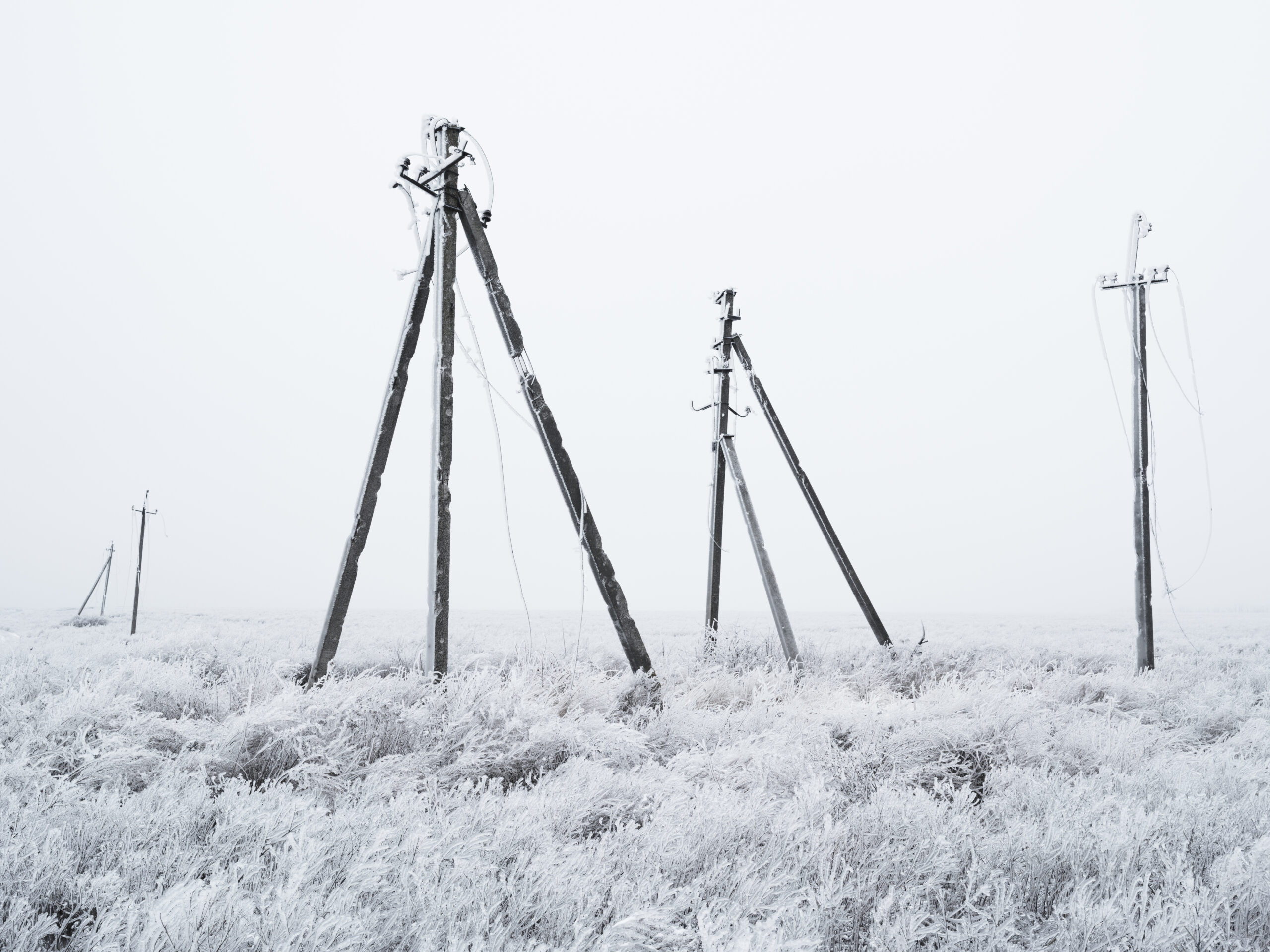 03_DOM_2023_12_14_4548