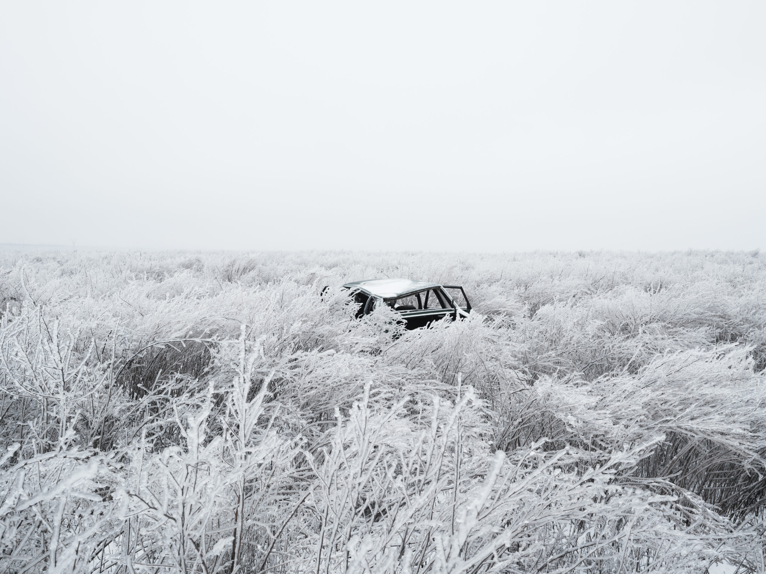 04_DOM_2023_12_12_3772