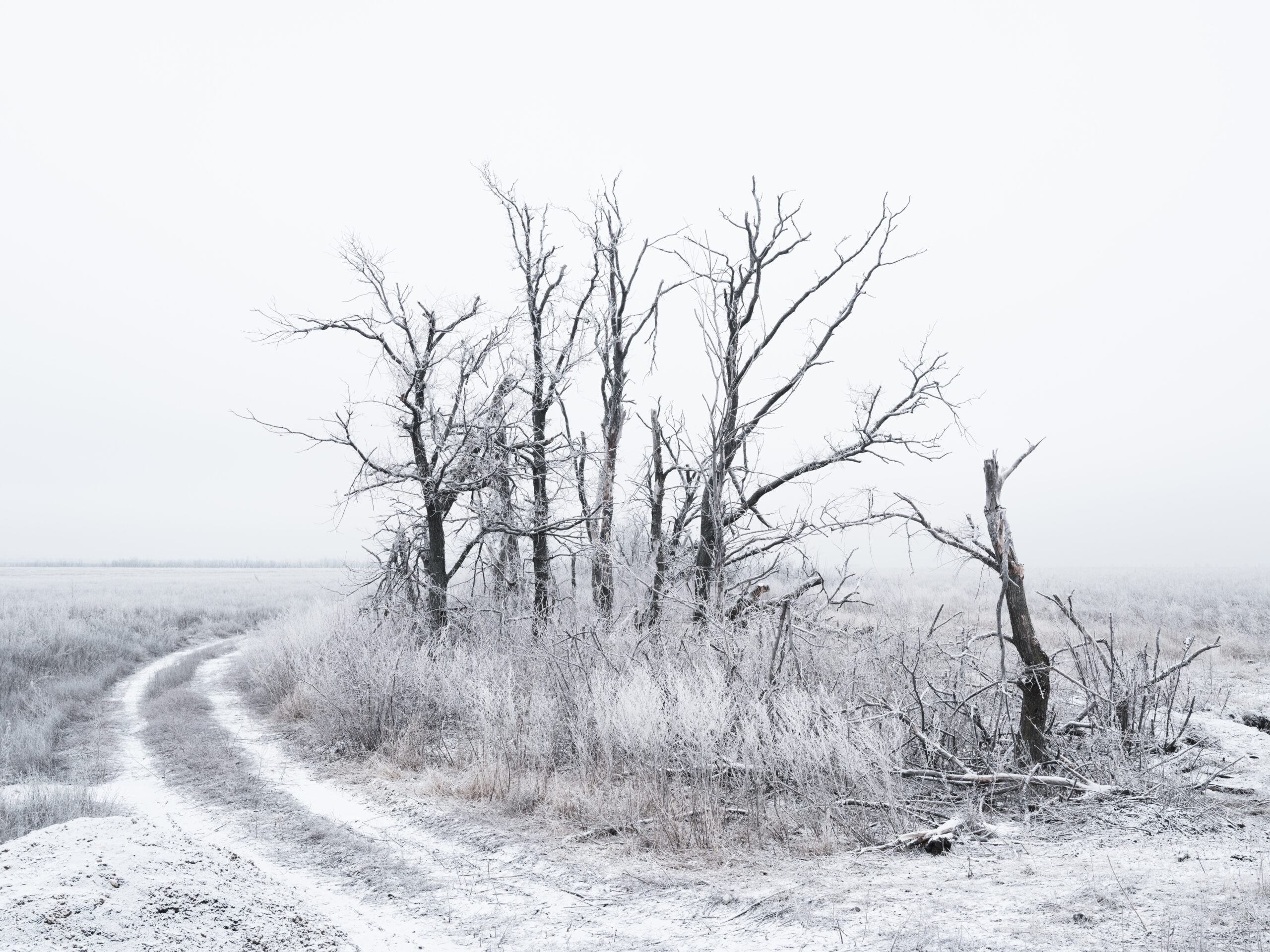 05_DOM_2024_01_22_6783