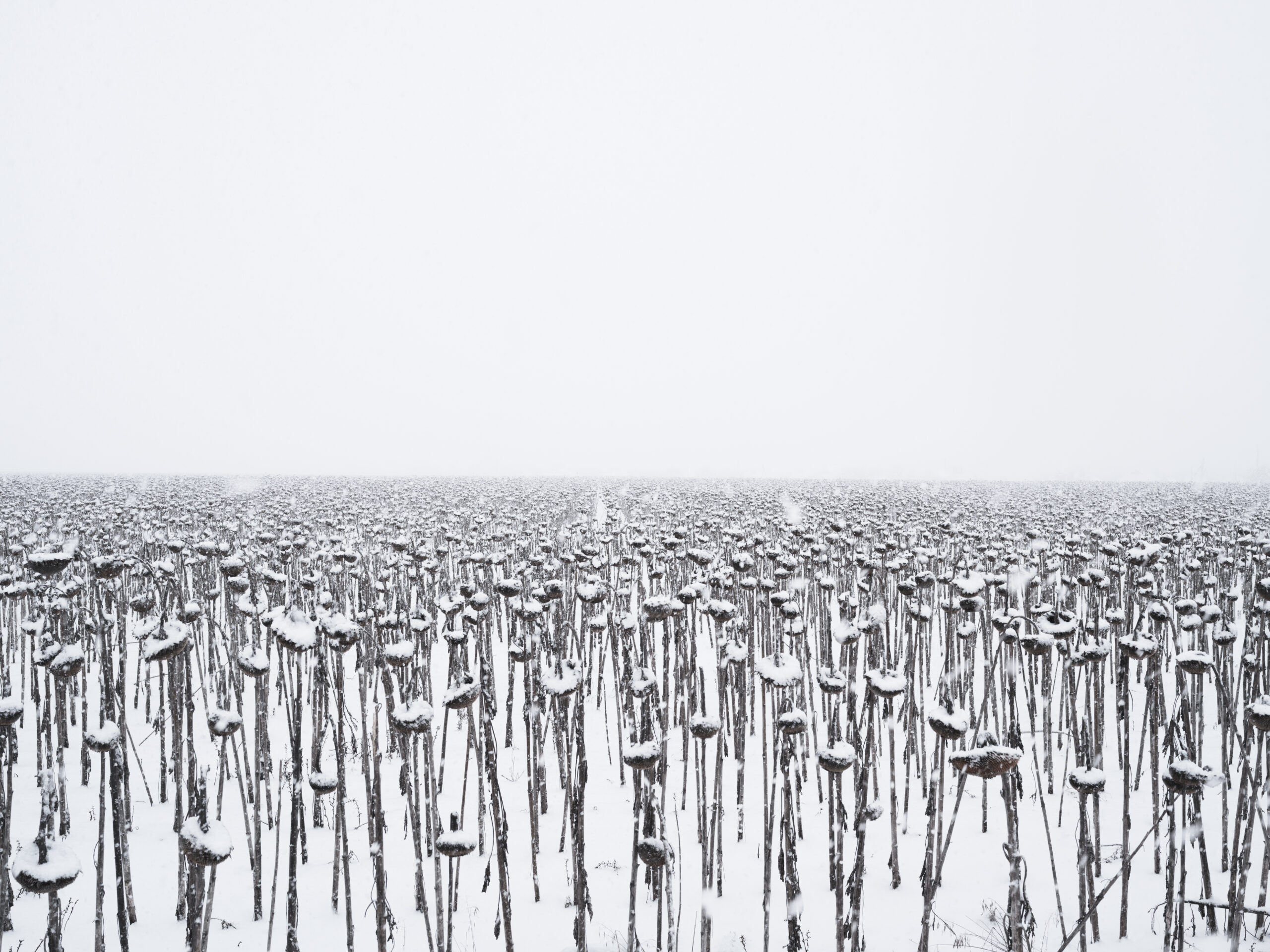 19_DOM_2023_02_05_9168