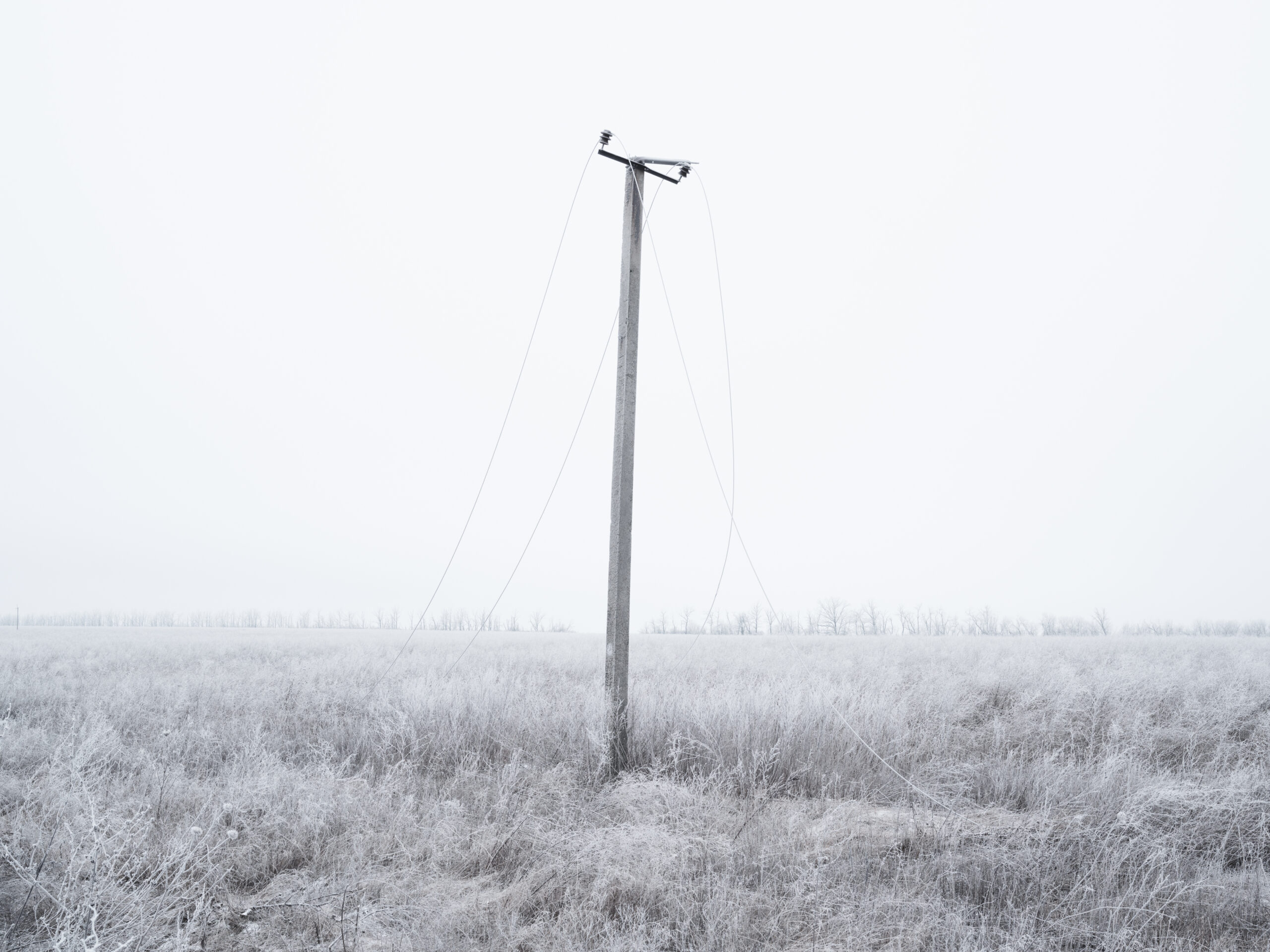 71_DOM_2024_01_22_6766