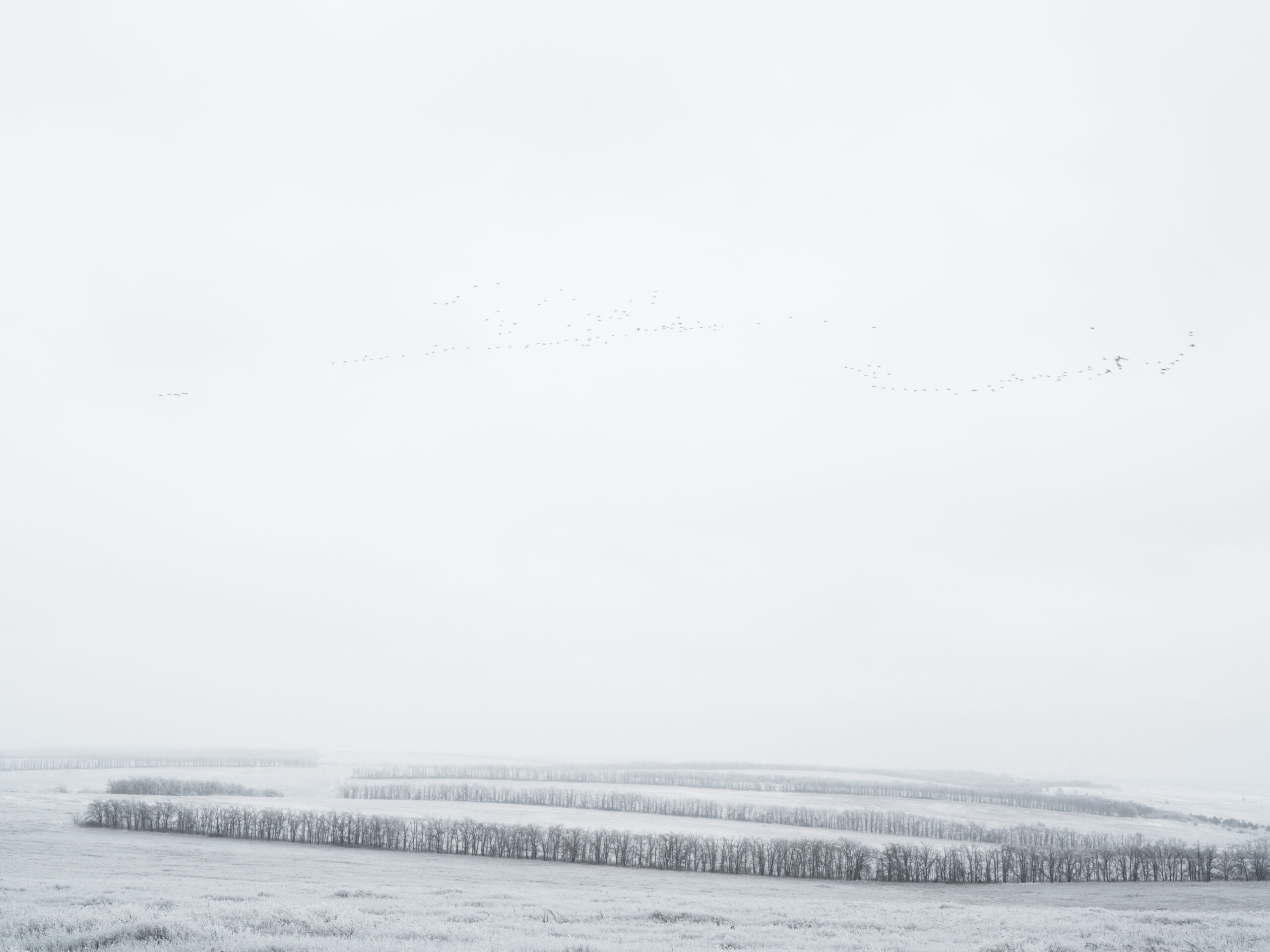 74_DOM_2023_12_13_4011